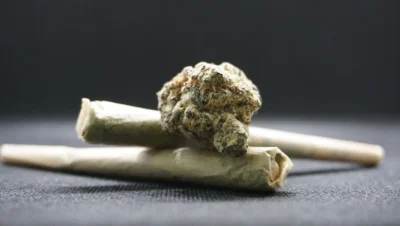 Lemon Haze